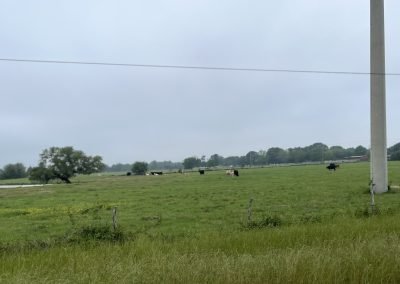 Cycling In Houston - NWCC Recent Activities Gallery 521 Scenic rural landscape for Northwest Cycling Club outdoor riding and cycling events.